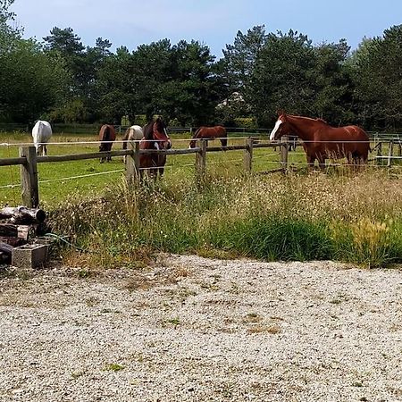 Le Gite De La Ferme Portbail Dış mekan fotoğraf
